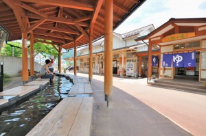 Yudanaka & Shibu Onsen