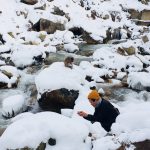When to See Japan’s Famous Snow Monkeys