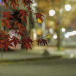 Best Places to Stay in Karuizawa
